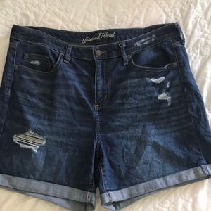 Universal Thread Distressed Shorts